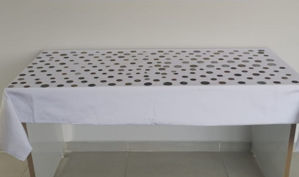 Balıkesir'de 210 Sikke Ele Geçirildi