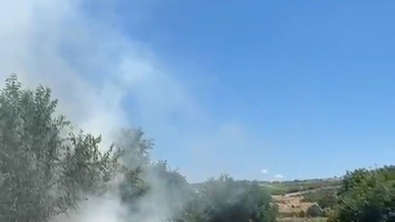 Bursa’da anız yangınında 20 dönüm alan zarar gördü