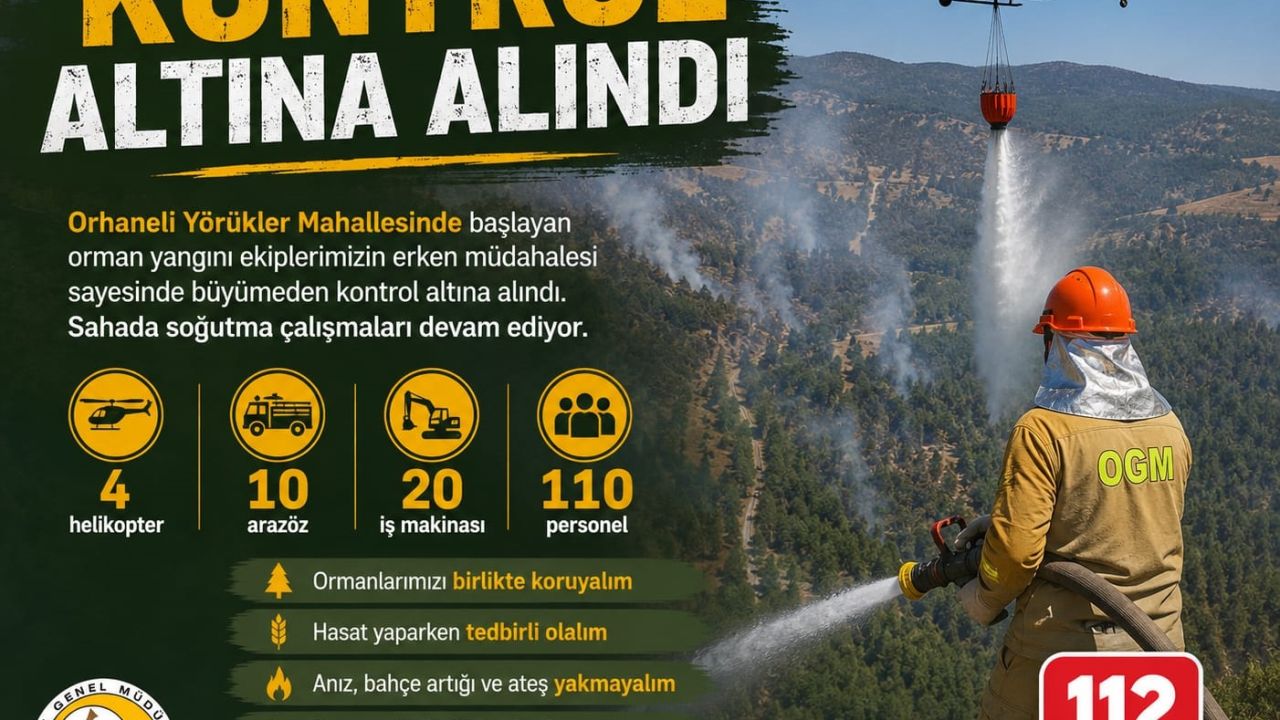 Bursa'da orman yangını