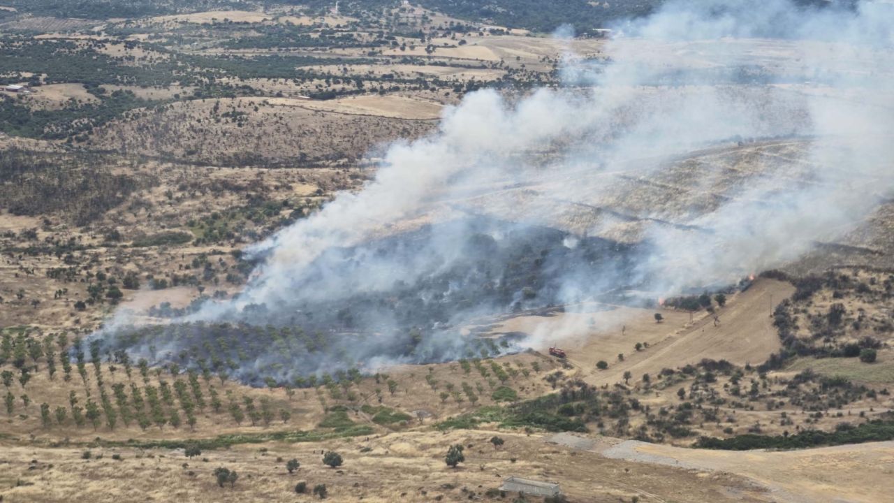 Çanakkale'de orman yangını kontrol altında
