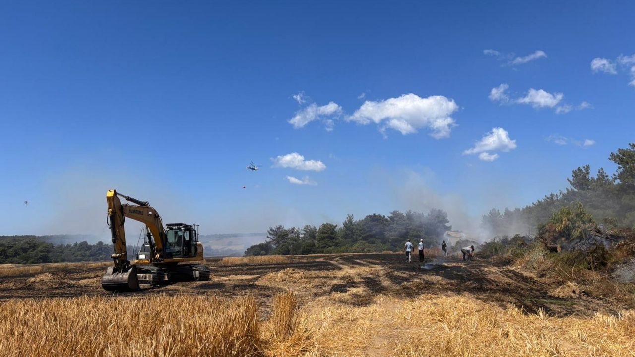 Çanakkale'de orman yangını