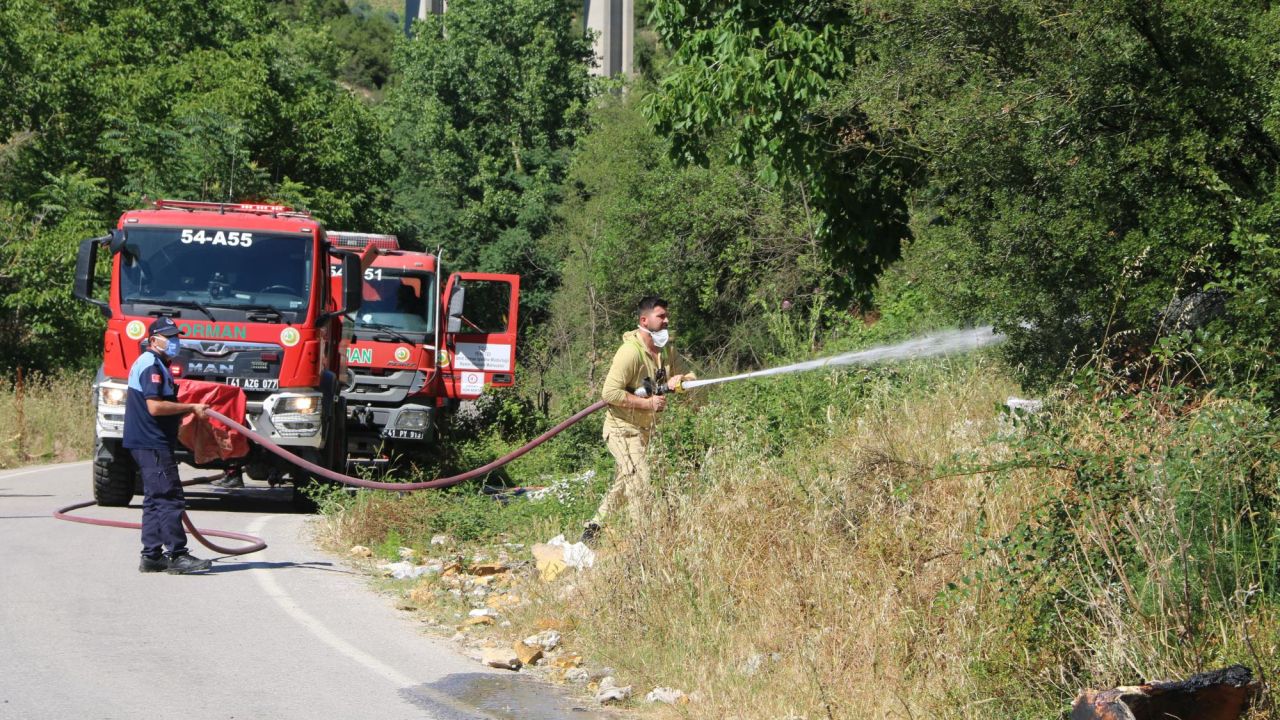 Çöplük alanda çıkan yangın ağaçlara sıçradı