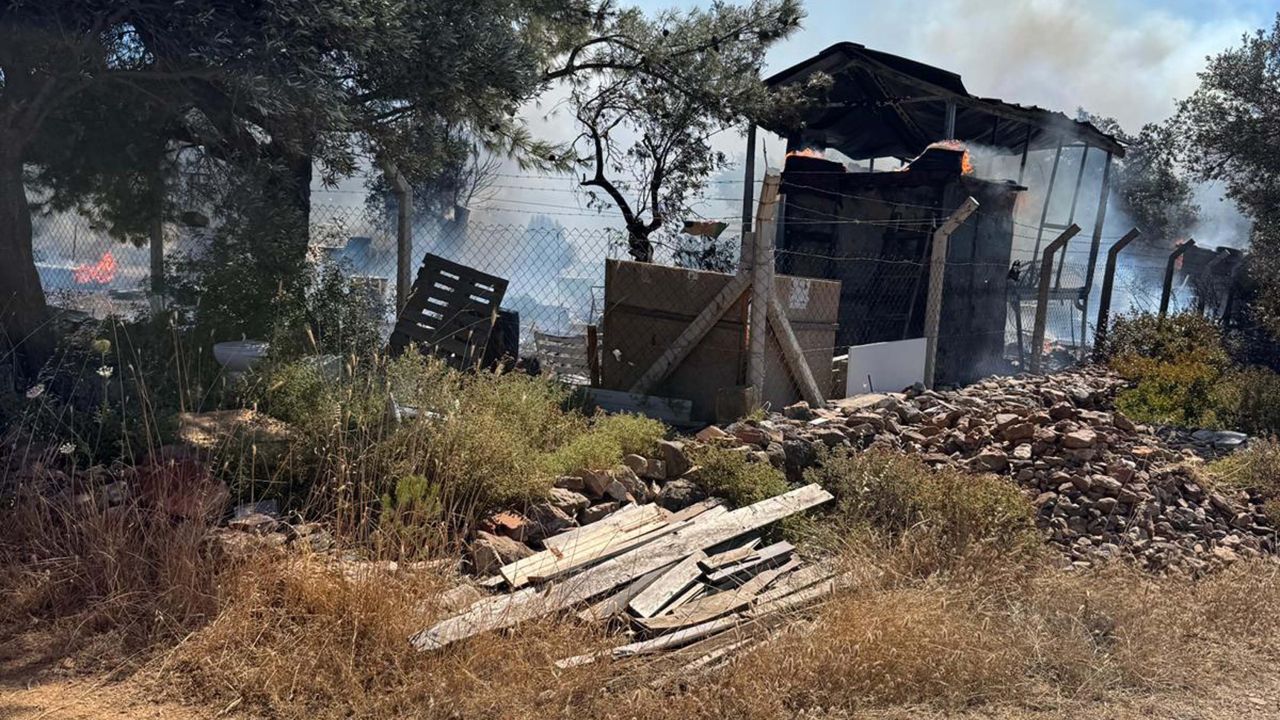 Cunda'da makilik alanda çıkan yangın ormanı yaktı