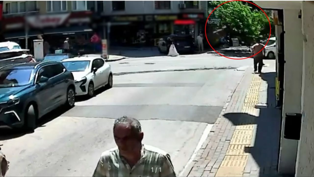 Devrilen tarihi çınar araca zarar verdi; yol trafiğe kapandı