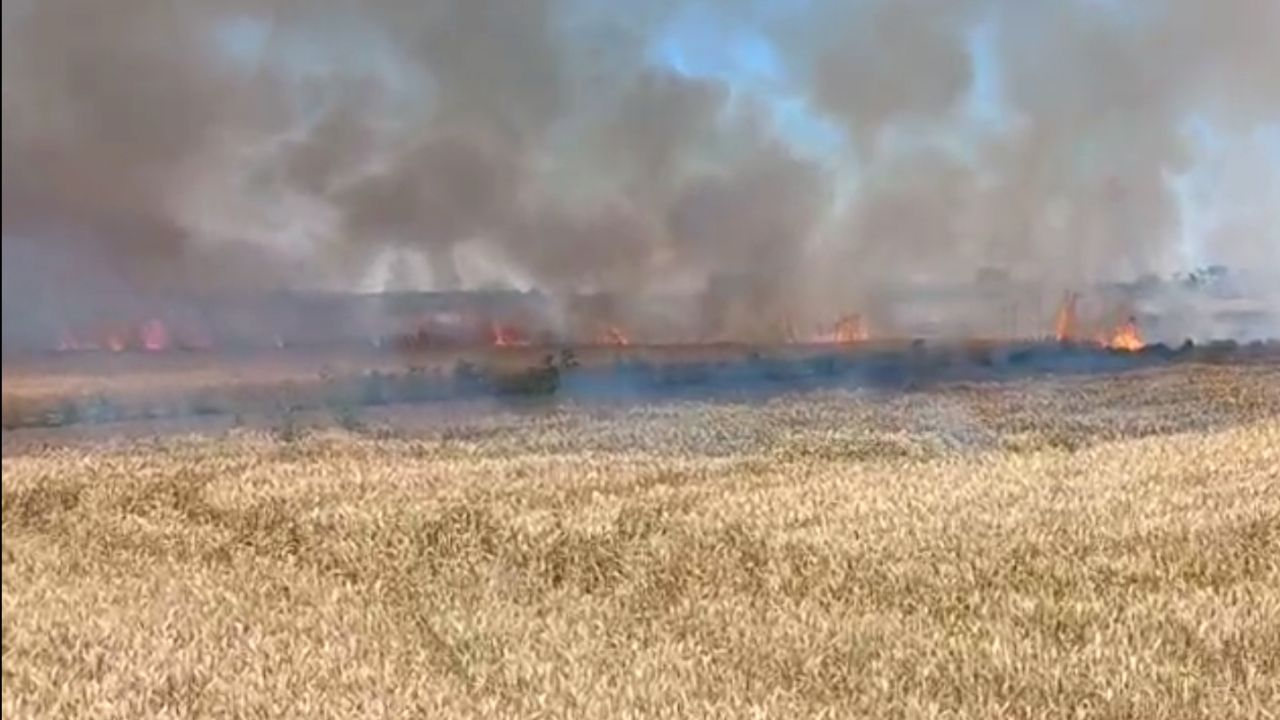 Edirne’de 6 dönüm buğday ekili alan yandı