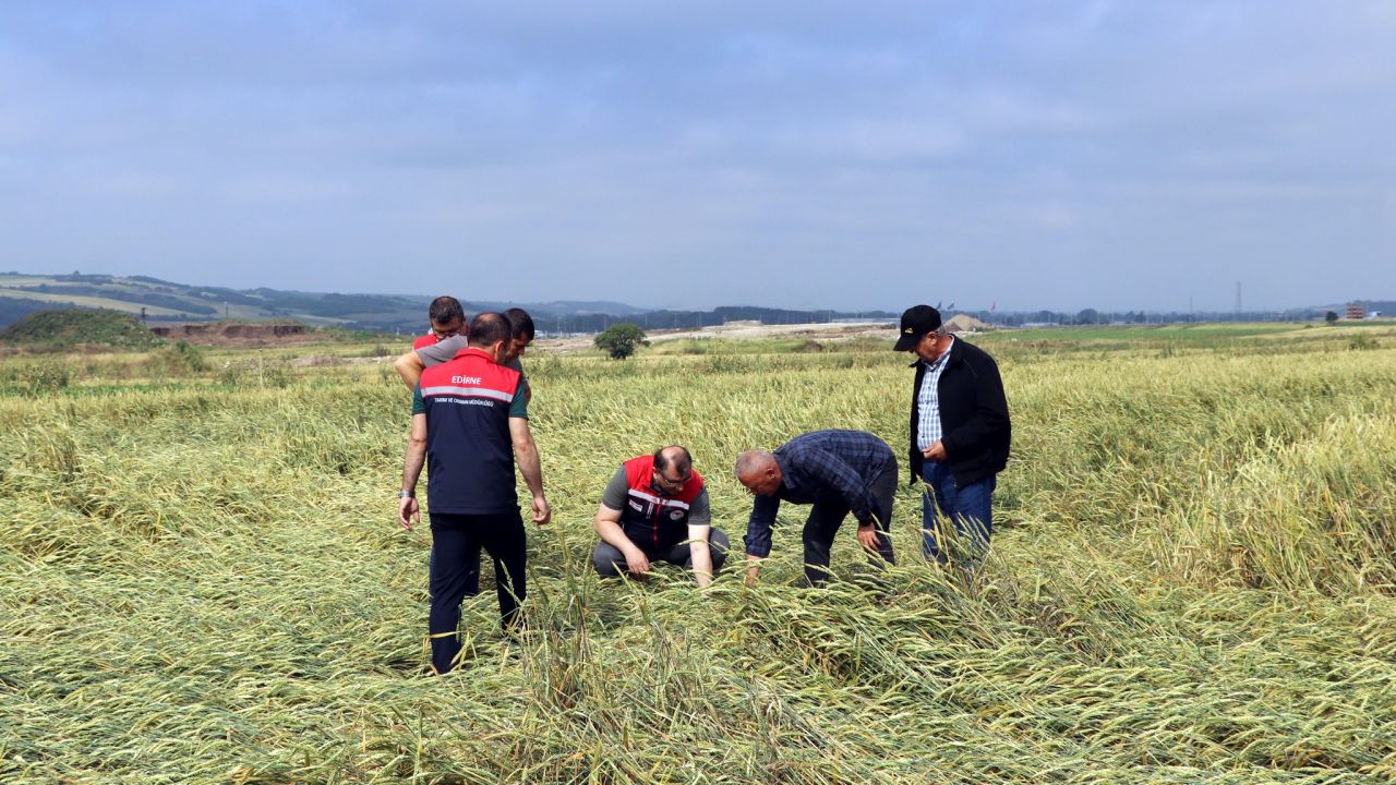 Edirne’de, doludan etkilenen tarlalarda inceleme