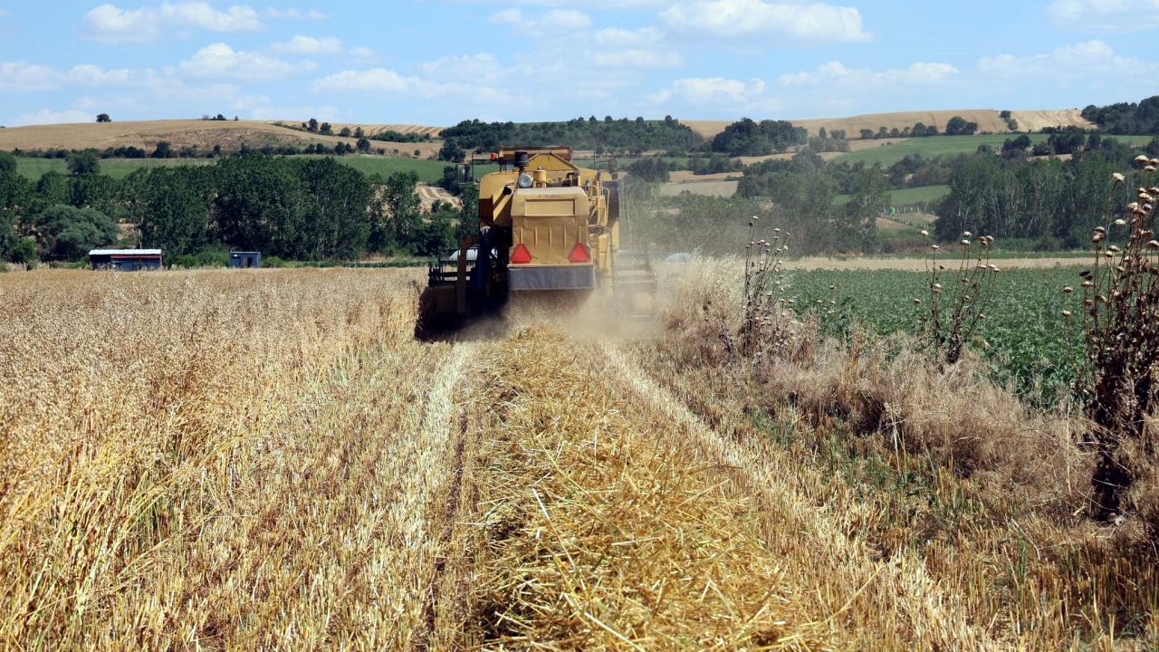 Edirne’de geliştirilen yerli ve milli yulaf çeşitleri hasat edildi
