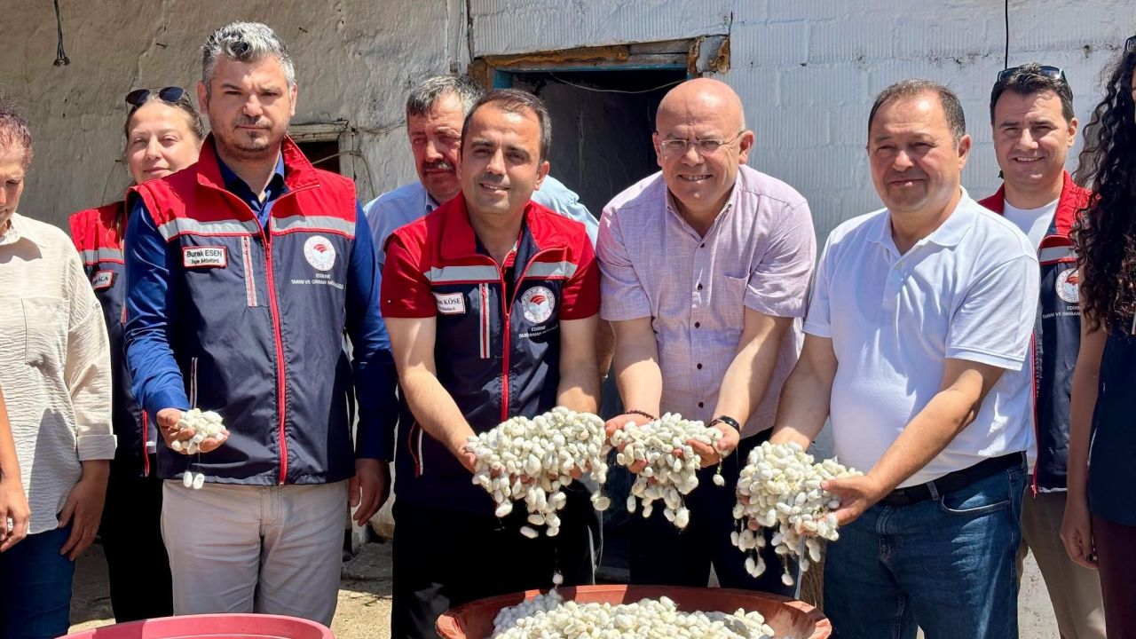 Edirne’de kadınların ürettiği ipek böceklerinden elde edilen yaş kozaların hasadı yapıldı