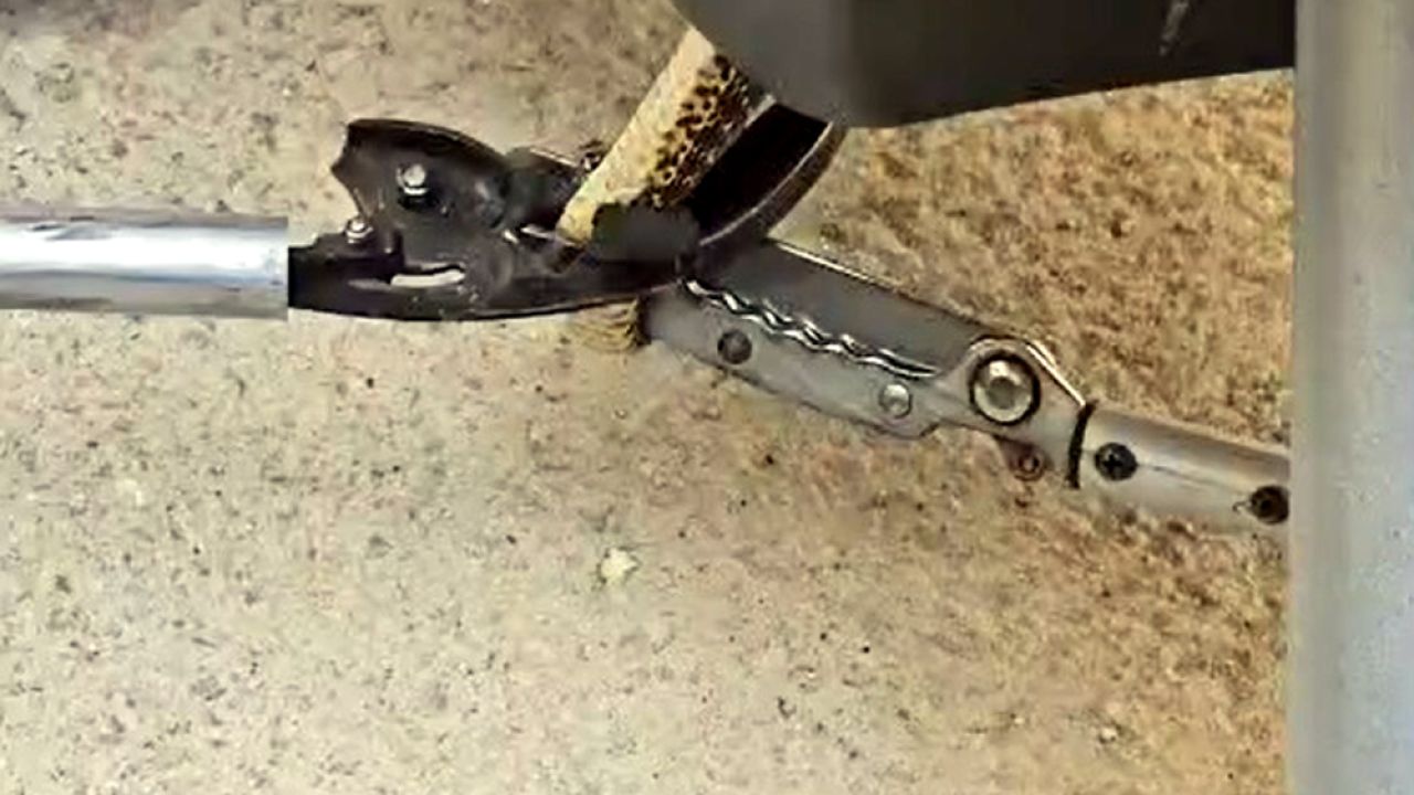 Edirne’de motosiklet kaportasına giren yılan kurtarılıp, doğaya salındı