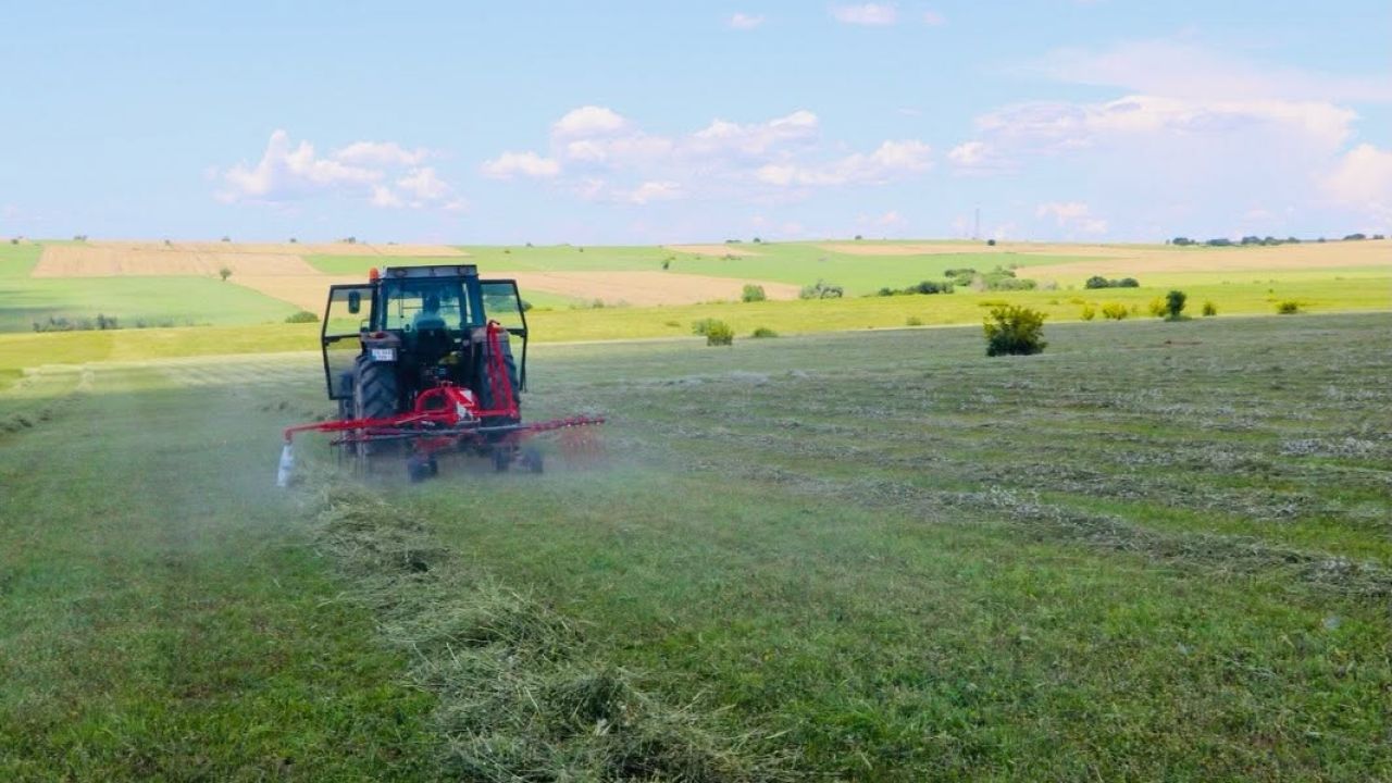 Edirne’deki meralarda ot biçimleri sürüyor