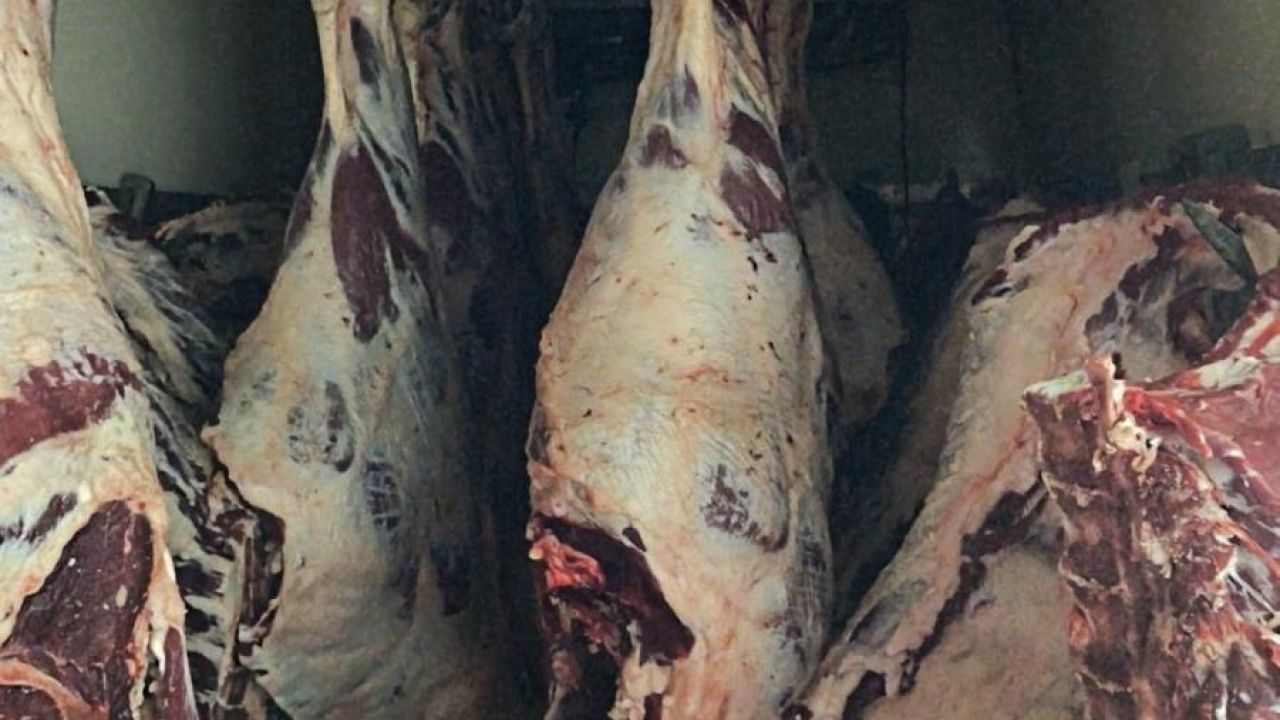 Sakarya'da 1,8 ton menşei belirsiz karkas et imha edildi