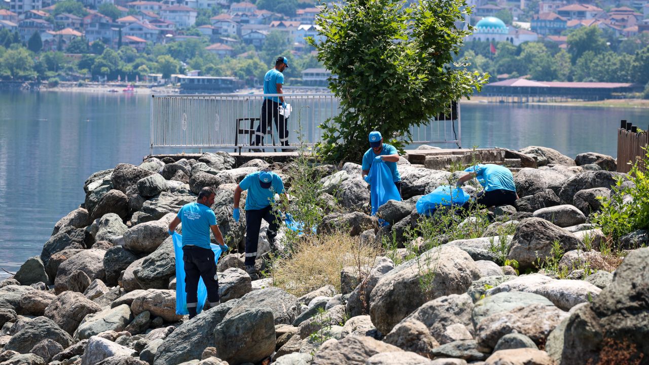 Sapanca Gölü'nde kapsamlı temizlik çalışması gerçekleştirildi