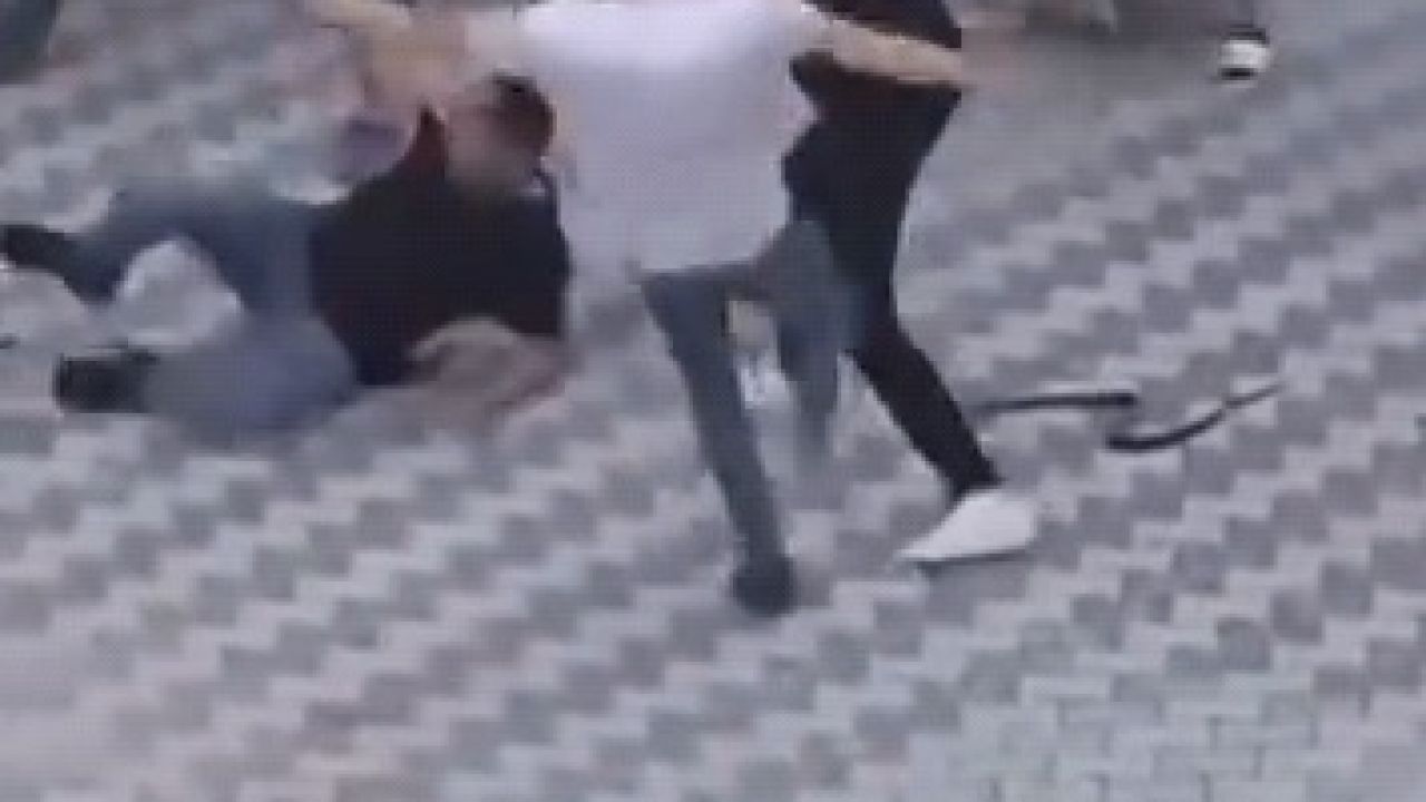 Sokağa taşan ıstakalı, kemerli kavga kamerada