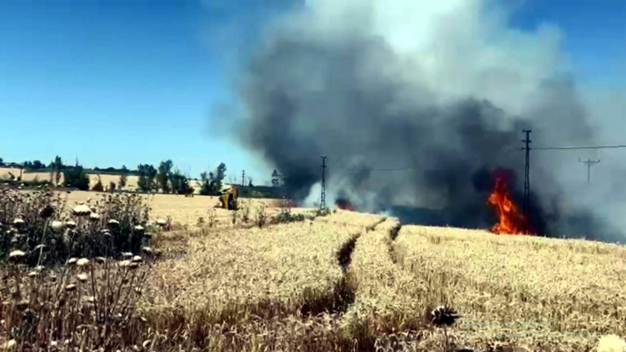 Tekirdağ'da 50 dekar ekili buğday yandı