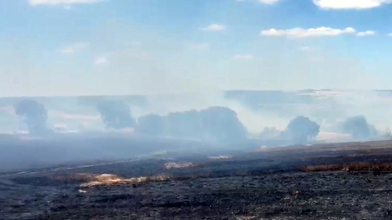 Tekirdağ’da yangın; 200 dekar buğday ekili alan zarar gördü
