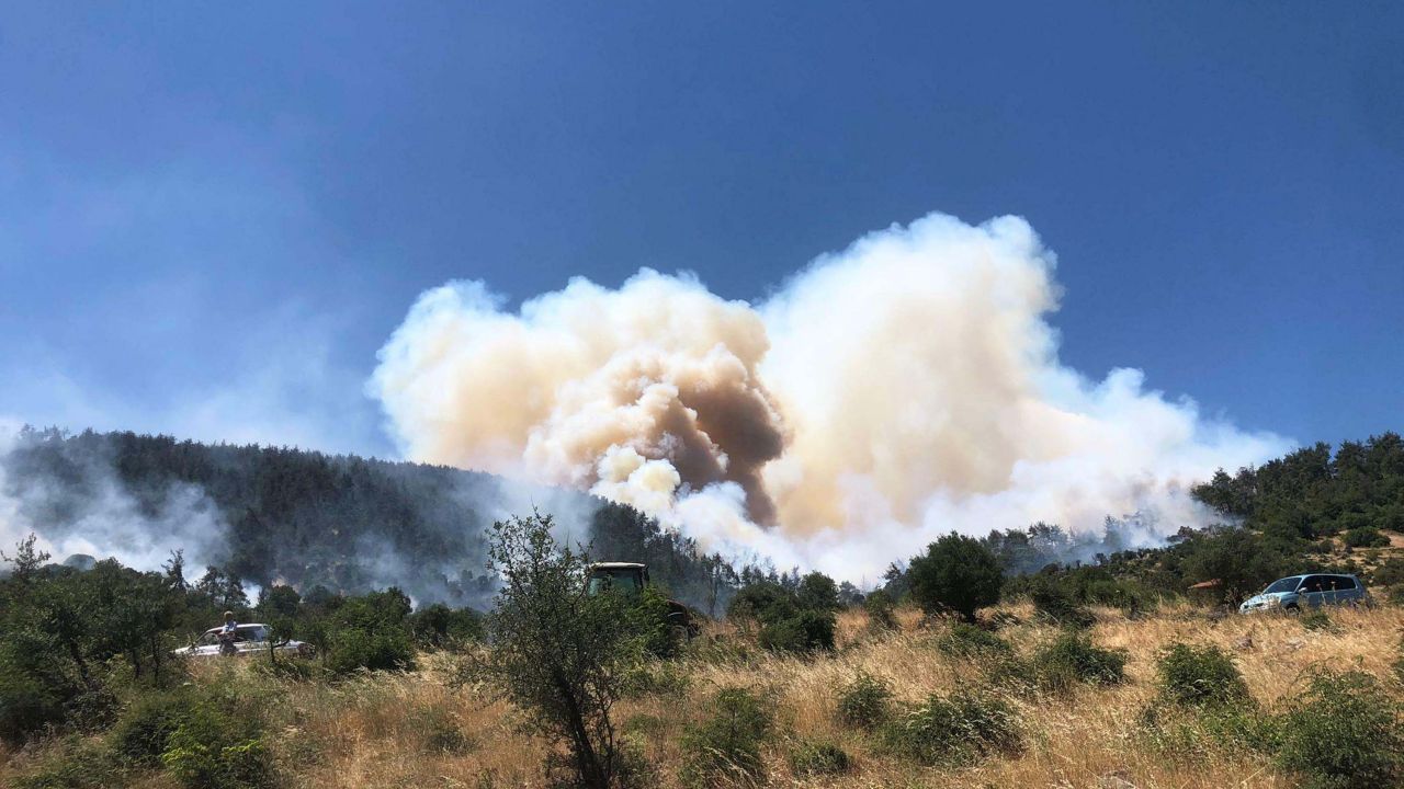 Balıkesir'deki orman yangınları; Altıeylül tamamen, Kepsut büyük ölçüde kontrol altında