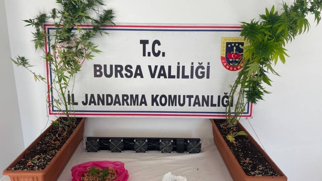 Bursa'da uyuşturucu operasyonu; 3 gözaltı