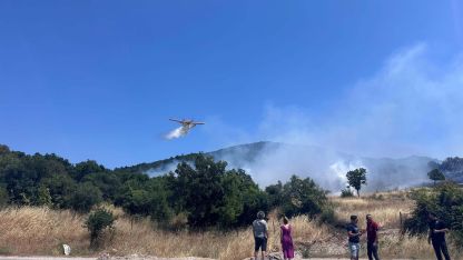 Çanakkale'de orman yangını