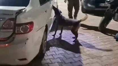 Sakarya'da uyuşturucu operasyonu: 2 tutuklama
