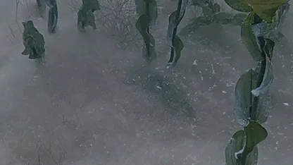 Sapanca Gölü'nün dibindeki pamuksu oluşum inceleniyor